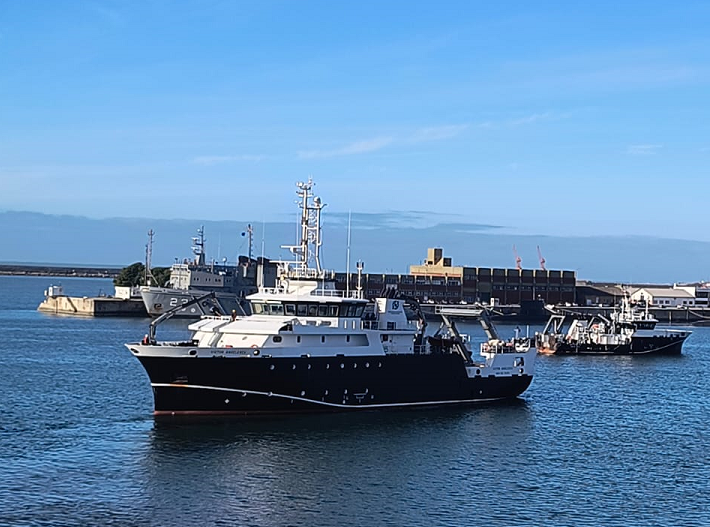 INIDEP evaluará el efectivo sur de merluza 3 angelescu merluza agosto 2024