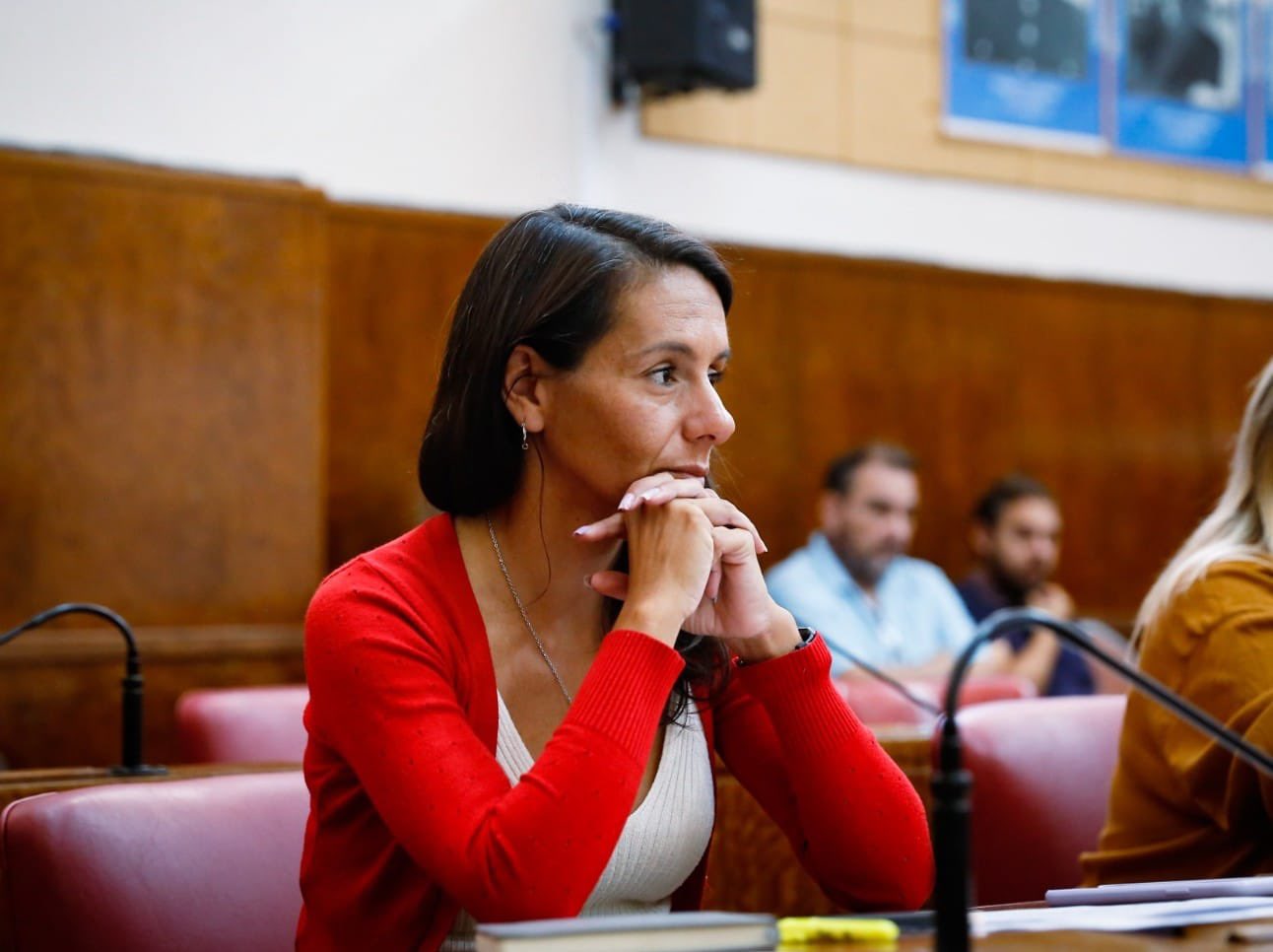 Acción Marplatense Propone Declarar la Emergencia Social Tarifaria en Mar del Plata 3 ayala