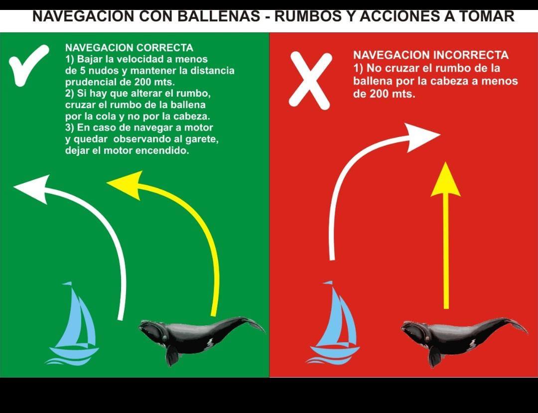 WhatsApp Image 2024 09 14 at 2.29.35 PM