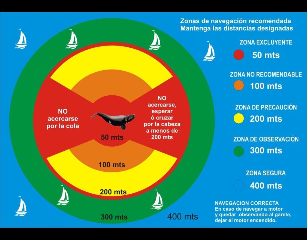 WhatsApp Image 2024 09 14 at 2.29.25 PM 1