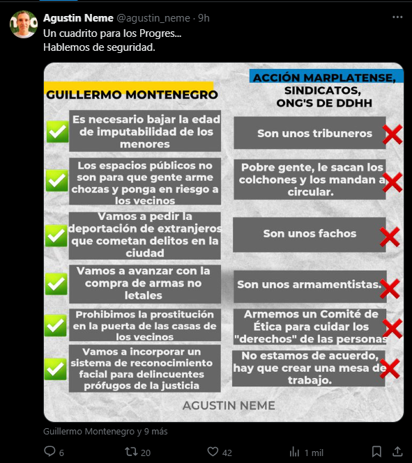 “¿Hasta cuándo van a seguir defendiendo a los delincuentes?”: la dura frase del concejal Agustín Neme 3 Captura de pantalla 2024 11 16 072254